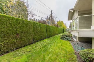 Photo 39: 16 34159 FRASER Street in Abbotsford: Central Abbotsford Townhouse for sale in "EMERALD PLACE" : MLS®# R2827090