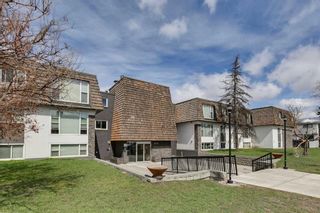 Photo 22: 102 920 68 Avenue SW in Calgary: Kingsland Apartment for sale : MLS®# A2124656