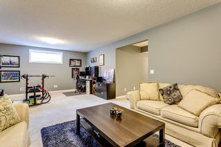 Photo 39: 66 Skyview Point Rise NE in Calgary: Skyview Ranch Detached for sale : MLS®# A1212489