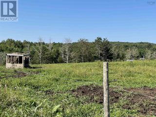 Photo 16: 550 Lower Branch Road in Lower Branch: Agriculture for sale : MLS®# 202400612