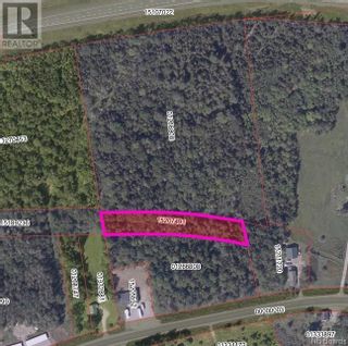 Photo 11: 000 Route 170 in Oak Bay: Vacant Land for sale : MLS®# NB092967