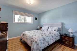 Photo 13: 9835 Auburn Road SE in Calgary: Acadia Detached for sale : MLS®# A2006321