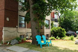 Photo 19: Main Fl 7 Wilson Park Road in Toronto: South Parkdale House (Apartment) for lease (Toronto W01)  : MLS®# W5722267
