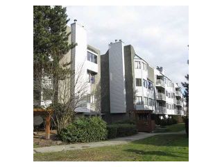 Photo 15: 103 9620 MANCHESTER Drive in Burnaby: Cariboo Condo for sale in "BROOKSIDE PARK" (Burnaby North)  : MLS®# V1036806