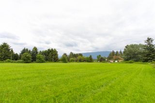 Photo 12: LOT 4 MCNEIL ROAD in Pitt Meadows: North Meadows PI Land for sale : MLS®# R2068304