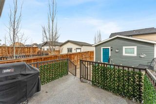 Photo 31: 655 Mahogany Boulevard SE in Calgary: Mahogany Semi Detached (Half Duplex) for sale : MLS®# A2122429