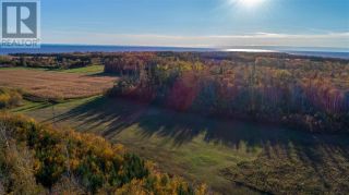 Photo 12: Acreage Point Prim Road in Point Prim: Vacant Land for sale : MLS®# 201901832