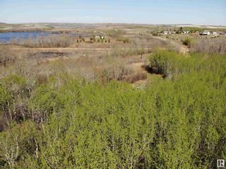 Photo 4: LOT 76 TWP 430B RR101A: Rural Flagstaff County Vacant Lot/Land for sale : MLS®# E4337732