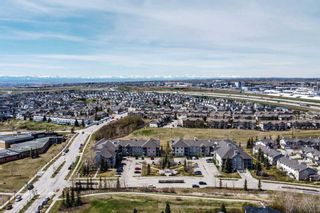 Photo 19: 203 2000 Citadel Meadow Point NW in Calgary: Citadel Apartment for sale : MLS®# A2129443
