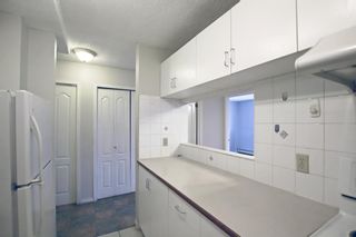 Photo 7: 304 110 2 Avenue SE in Calgary: Chinatown Apartment for sale : MLS®# A1171009