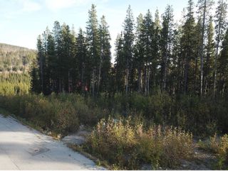Photo 12: LT.21 BUCK Road in No City Value: FVREB Out of Town Land for sale in "BALDY MOUNTAIN RESORT" : MLS®# R2874808