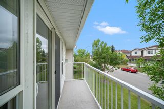 Photo 16: 201 612 19 Street SE: High River Apartment for sale : MLS®# A1135377