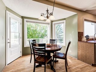 Photo 21: 361 EDGEVIEW Place NW in Calgary: Edgemont Detached for sale : MLS®# A1017966