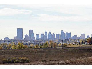 Photo 18: 10 BLACKTHORN Place NE in CALGARY: Thorncliffe Residential Detached Single Family for sale (Calgary)  : MLS®# C3591166