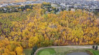 Photo 7: 17303 23 Avenue in Edmonton: Zone 56 Vacant Lot/Land for sale : MLS®# E4265905