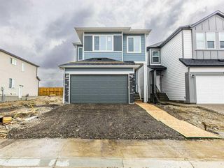 Photo 40: 148 Cornerbrook Road NE in Calgary: Cornerstone Detached for sale : MLS®# A2131357