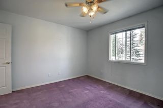 Photo 14: 3431 28 Street SE in Calgary: Dover Semi Detached (Half Duplex) for sale : MLS®# A1258343