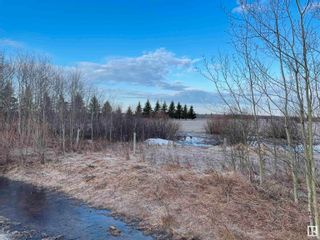 Photo 18: 56506 RR 273: Rural Sturgeon County Rural Land/Vacant Lot for sale : MLS®# E4278603