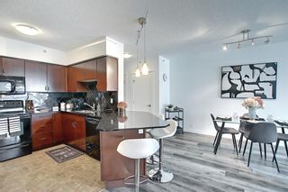 Photo 5: 517 8880 Horton Road SW in Calgary: Haysboro Apartment for sale : MLS®# A1190611