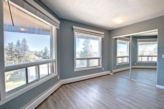 Photo 7: 301 1712 38 Street SE in Calgary: Forest Lawn Apartment for sale : MLS®# A1228751
