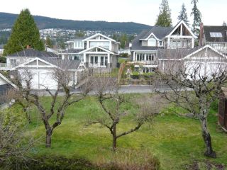Photo 3: 1143 ESQUIMALT AVE in West Vancouver: Ambleside House for sale