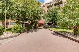 Photo 2: 629 30 McHugh Court NE in Calgary: Mayland Heights Apartment for sale : MLS®# A2000044