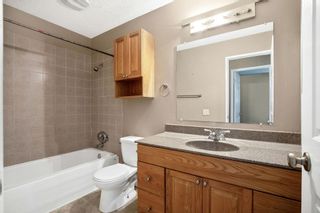 Photo 15: 3304 Doverthorn Way SE in Calgary: Dover Detached for sale : MLS®# A2053383