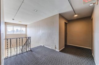 Photo 18: 10 2020 16 Avenue NW in Calgary: Banff Trail Apartment for sale : MLS®# A2040518