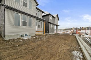 Photo 39: 16 Copperhead Place SE in Calgary: Copperfield Detached for sale : MLS®# A2008114