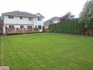 Photo 9: 21649 45TH Avenue in Langley: Murrayville House for sale in "Upper Murrayville" : MLS®# F1216788