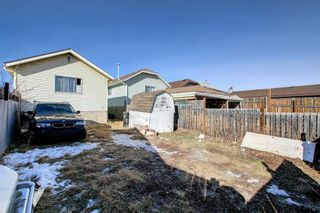 Photo 32: 51 Erin Grove Place SE in Calgary: Erin Woods Detached for sale : MLS®# A1180419