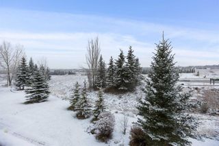Photo 50: 208 Clearwater Way in Rural Rocky View County: Rural Rocky View MD Semi Detached (Half Duplex) for sale : MLS®# A2094778