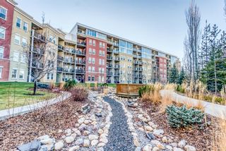 Photo 23: 1704 11811 Lake Fraser Drive SE in Calgary: Lake Bonavista Apartment for sale : MLS®# A1164605