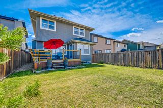 Photo 45: 206 Autumn Circle SE in Calgary: Auburn Bay Detached for sale : MLS®# A1222798
