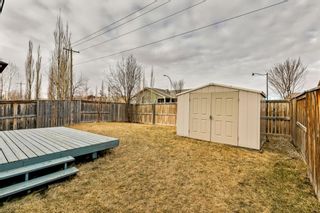 Photo 42: 343 Bridlemeadows Common SW in Calgary: Bridlewood Detached for sale : MLS®# A1201193