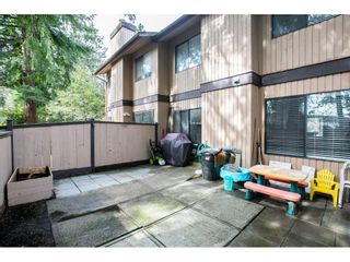 Photo 26: 7 3015 TRETHEWEY Street in Abbotsford: Central Abbotsford Townhouse for sale in "BIRCH GROVE TERRACE" : MLS®# R2669071