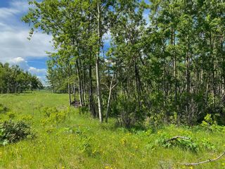 Photo 5: 19 Grove Lane in Rural Rocky View County: Rural Rocky View MD Residential Land for sale : MLS®# A1235571