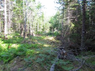 Photo 5: Lot Highway 236 in Kennetcook: 105-East Hants/Colchester West Vacant Land for sale (Halifax-Dartmouth)  : MLS®# 202320951