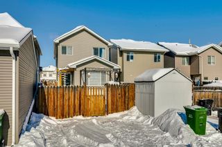 Photo 23: 432 Prestwick Circle SE in Calgary: McKenzie Towne Detached for sale : MLS®# A2027348