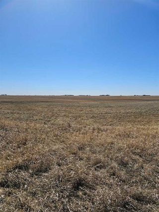 Photo 5: 5;1;31;35;NE (RANGE 1 TOWNSHIP RD 320): Rural Mountain View County Commercial Land for sale : MLS®# A2122418