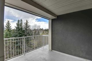Photo 20: 449 35 Richard Court SW in Calgary: Lincoln Park Apartment for sale : MLS®# A2129003