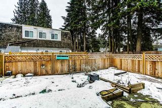 Photo 13: 42 21555 DEWDNEY TRUNK Road in Maple Ridge: West Central Townhouse for sale in "RICHMOND COURT" : MLS®# R2131390