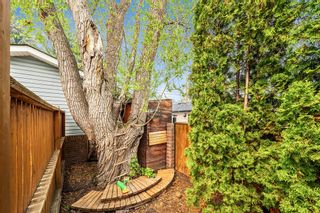 Photo 13: 56 Midglen Drive SE in Calgary: Midnapore Detached for sale : MLS®# A2050158