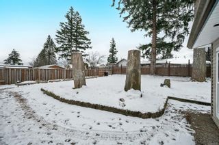 Photo 36: 435 Evergreen Rd in Campbell River: CR Campbell River Central House for sale : MLS®# 920590