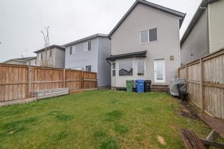 Photo 27: 147 Cranford Common SE in Calgary: Cranston Detached for sale : MLS®# A1111040