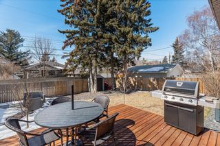 Photo 41: 5007 Benson Road NW in Calgary: Brentwood Detached for sale : MLS®# A2035689
