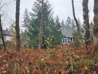 Photo 16: 2201 Ronson Rd in Courtenay: CV Courtenay West Land for sale (Comox Valley)  : MLS®# 919519