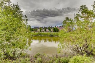 Photo 47: 202 Inverness Park SE in Calgary: McKenzie Towne Detached for sale : MLS®# A1234082