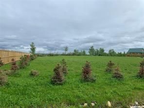 Photo 5: Lot 1 Rural Address in Turtle Lake: Lot/Land for sale : MLS®# SK890561