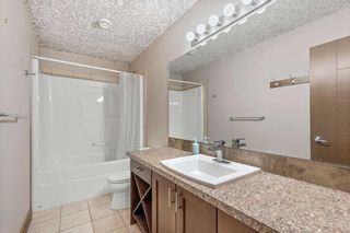 Photo 33: 11 Towers Close: Red Deer Detached for sale : MLS®# A2119178
